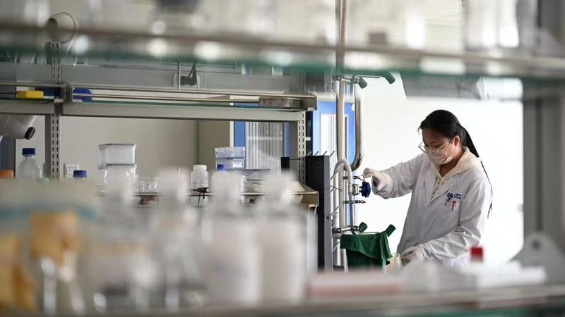 GMP认证代理加盟服务主要包括以下内容：