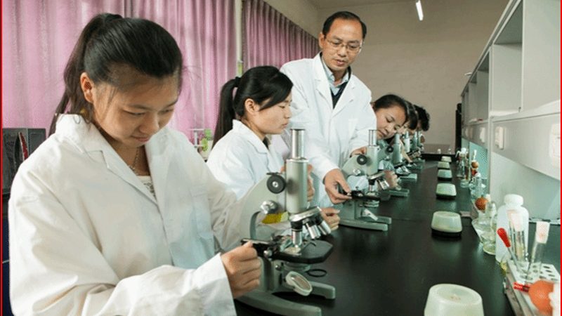 医药中间体GMP认证：厂家选择背后的考量