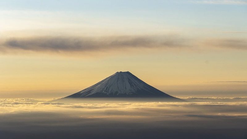制药设备代理加盟：如何选择十大品牌**