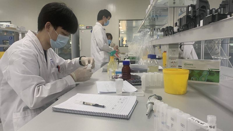 医药批发厂家直供流程解析：揭秘合规之路