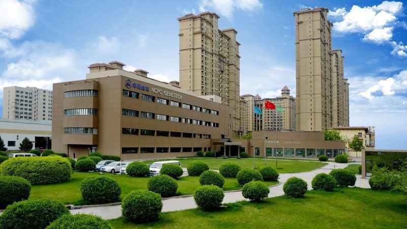 揭秘医药招商公司全国排名背后的行业逻辑
